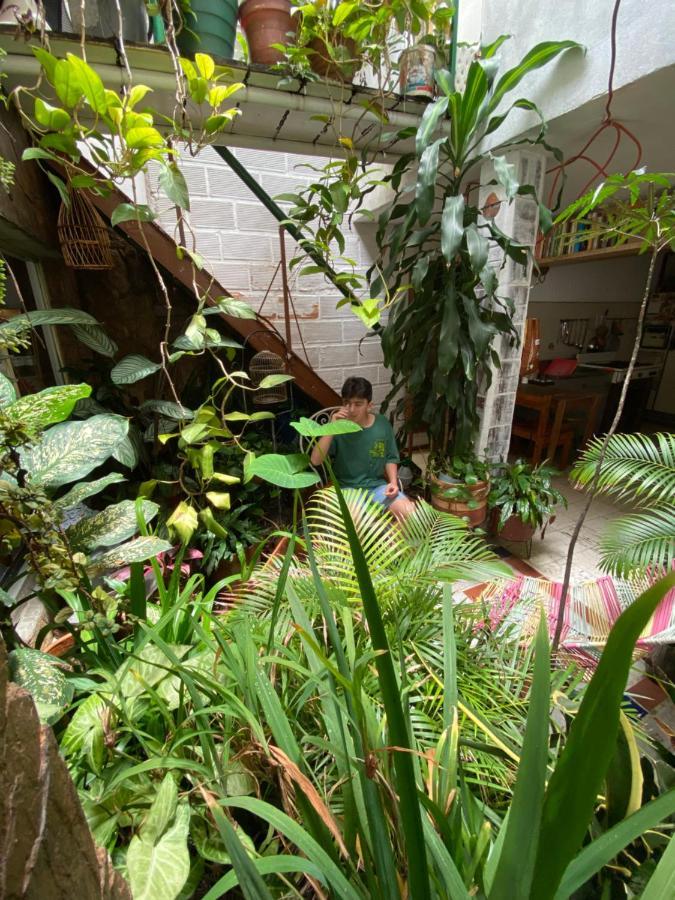 Hostal Casa Las Tias Medellín Dış mekan fotoğraf